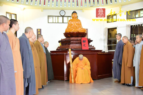 南普陀寺丙申年冬季禅七圆满解七 参禅师父接受则悟方丈考功(图28)