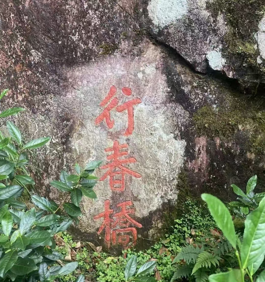 从元代李昭的画中看到能仁寺山门前的会源桥和行春桥(图3)